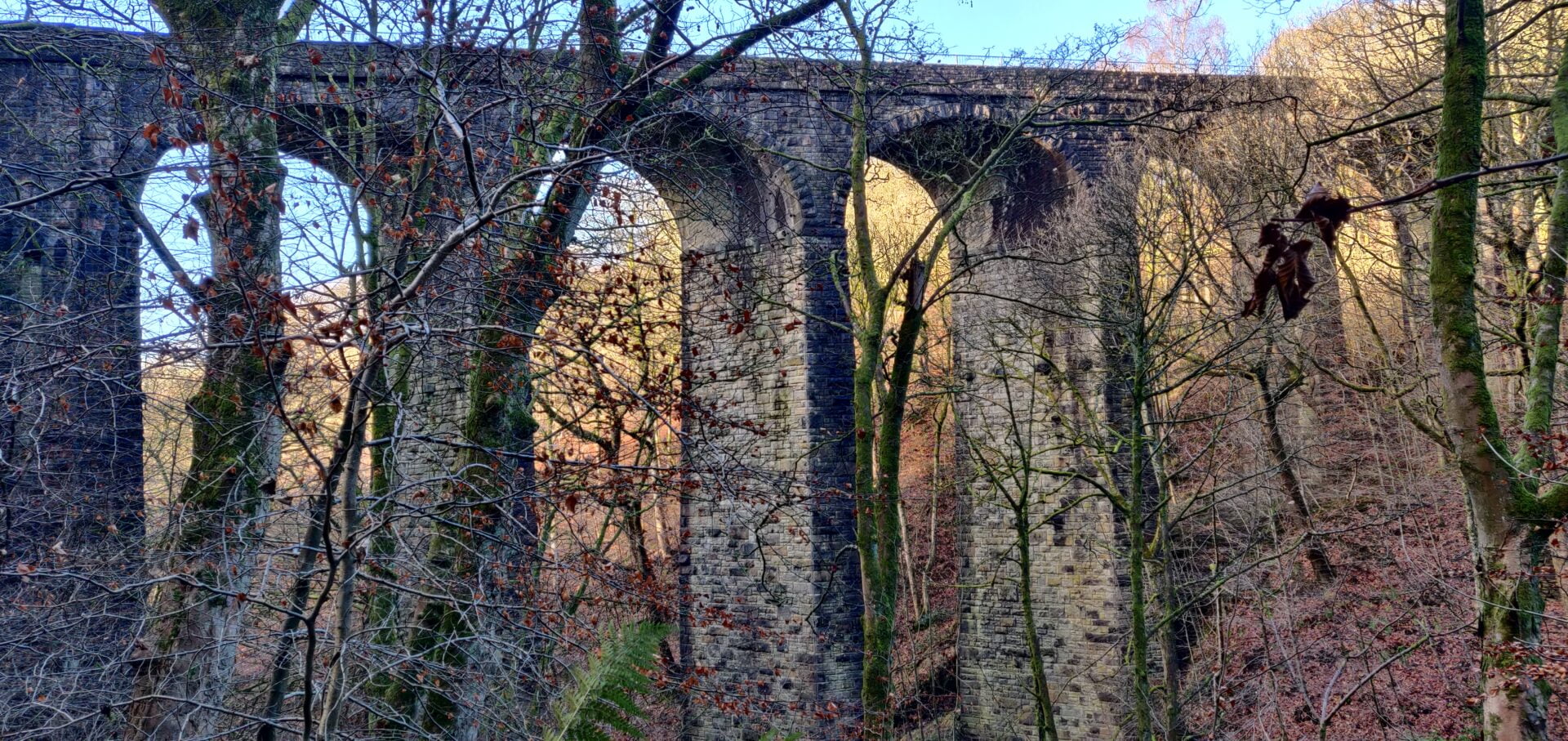 Healey Dell Nature Reserve#1 – The Viaduct › wanderscapes365