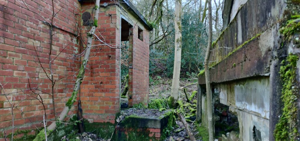 Healey Dell