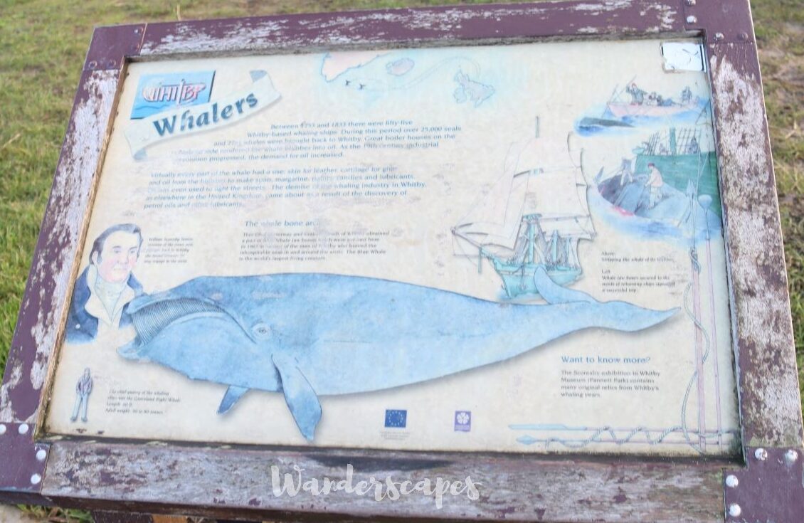 Whitby whalers