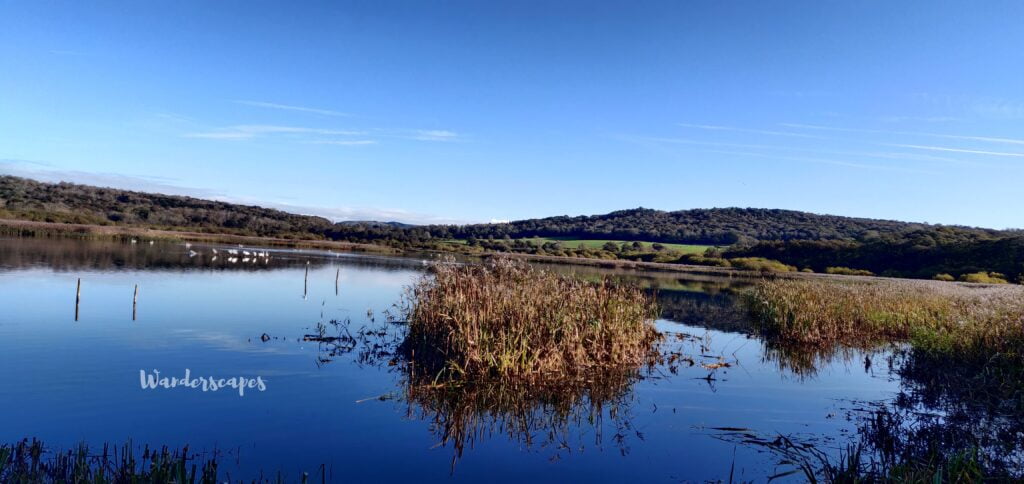 Views while birding