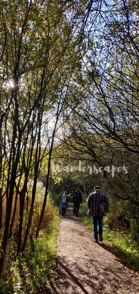 People walking