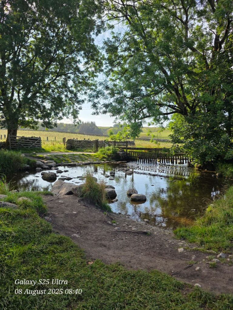 Stream