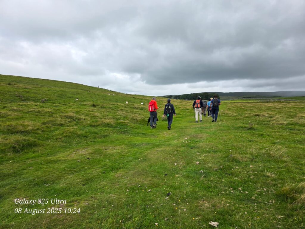 Men walking in meadows