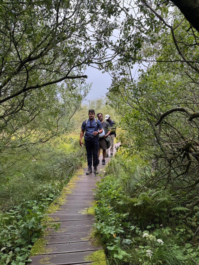 People walking